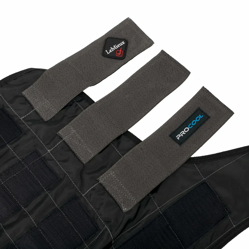 LeMieux Cold Water Boots in Black-1